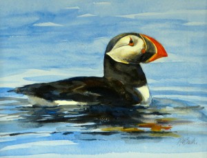 Puffin. 10” x 13”, Watercolor, $1200.